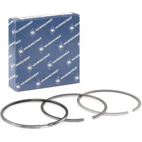 Nunc congue dui nec...