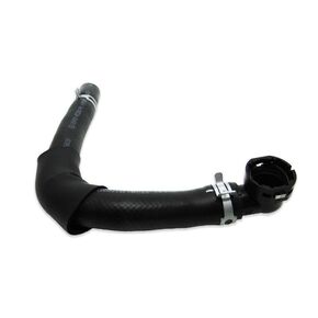 Nunc congue dui nec...