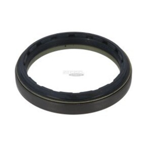 Nunc congue dui nec...