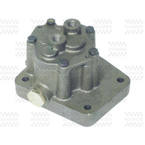 Nunc congue dui nec...