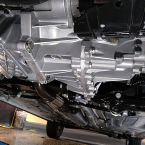 Nunc congue dui nec...