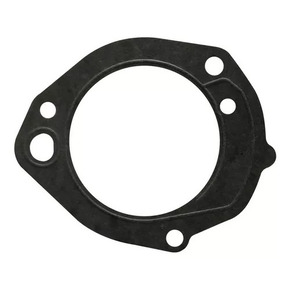 Nunc congue dui nec...