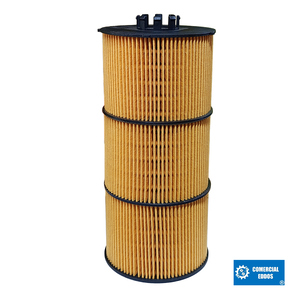 Nunc congue dui nec...