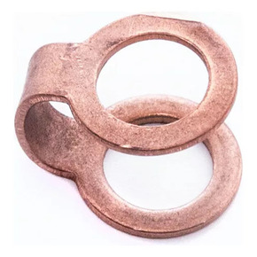 Nunc congue dui nec...