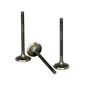 Nunc congue dui nec...