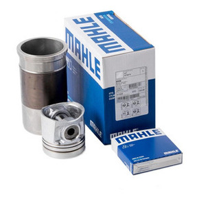 Nunc congue dui nec...