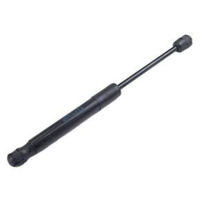 Nunc congue dui nec...