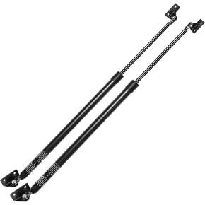 Nunc congue dui nec...