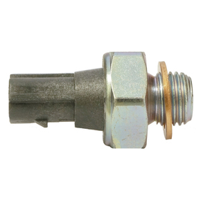 Nunc congue dui nec...