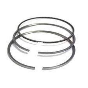 Nunc congue dui nec...