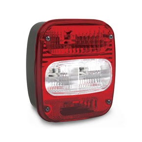 Nunc congue dui nec...