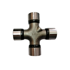 Nunc congue dui nec...