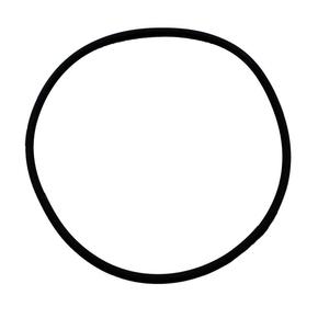 Nunc congue dui nec...