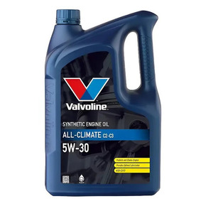 Nunc congue dui nec...