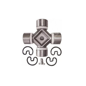 Nunc congue dui nec...