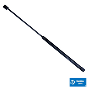 Nunc congue dui nec...