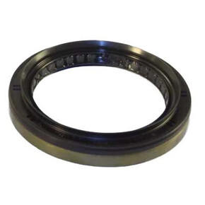 Nunc congue dui nec...