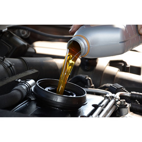 Nunc congue dui nec...