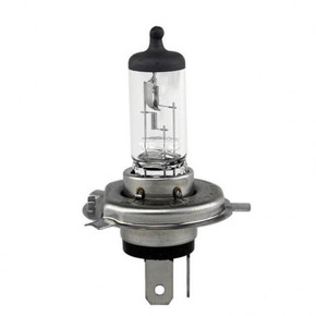 Nunc congue dui nec...