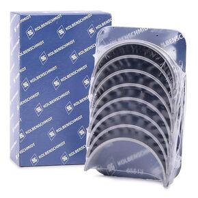 Nunc congue dui nec...