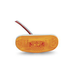 Nunc congue dui nec...