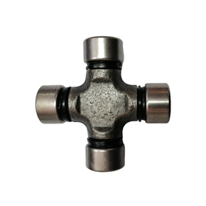 Nunc congue dui nec...