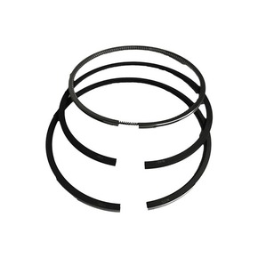 Nunc congue dui nec...