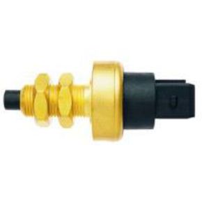 Nunc congue dui nec...