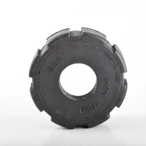 Nunc congue dui nec...