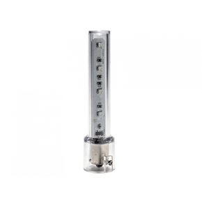 Nunc congue dui nec...