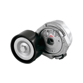 Nunc congue dui nec...