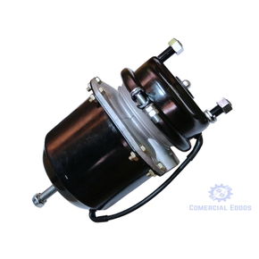 Nunc congue dui nec...