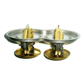 Nunc congue dui nec...