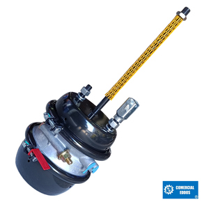 Nunc congue dui nec...