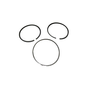 Nunc congue dui nec...