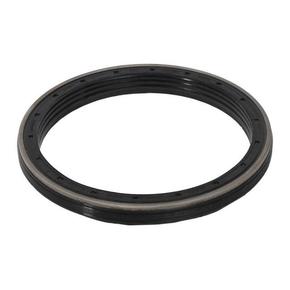 Nunc congue dui nec...