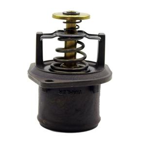 Nunc congue dui nec...