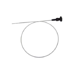 Nunc congue dui nec...