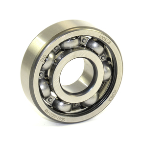 Nunc congue dui nec...