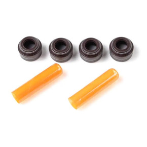 Nunc congue dui nec...