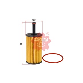 Nunc congue dui nec...