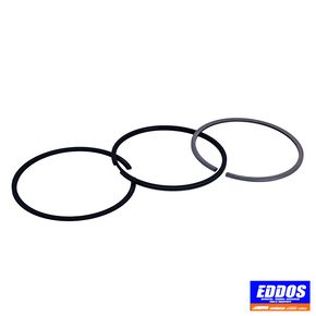 Nunc congue dui nec...