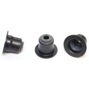 Nunc congue dui nec...