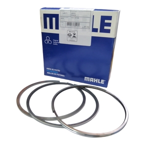 Nunc congue dui nec...