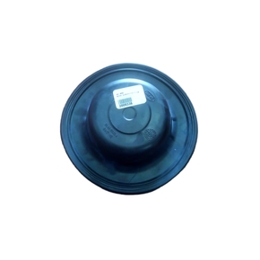 Nunc congue dui nec...