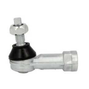 Nunc congue dui nec...