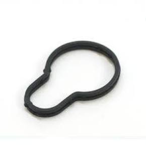 Nunc congue dui nec...