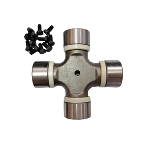 Nunc congue dui nec...