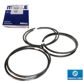 Nunc congue dui nec...