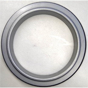 Nunc congue dui nec...